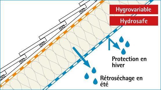 L’hygrovariabilité : un gage de fiabilité